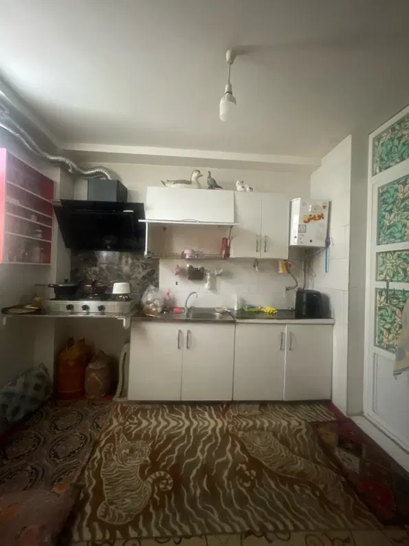 همخونه فقط خانم