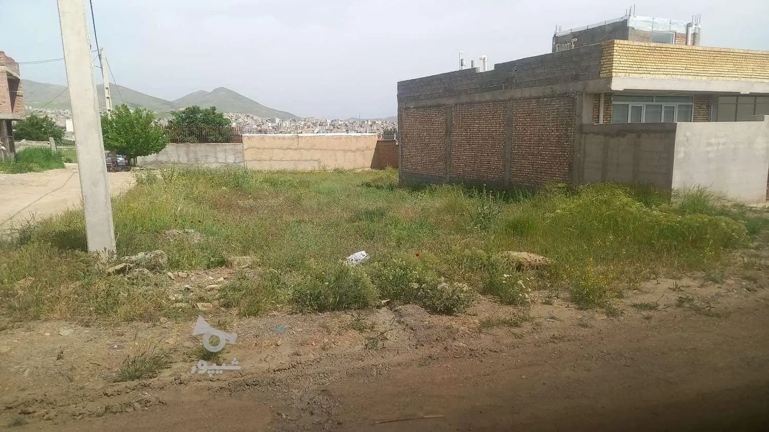 زمین روستای نصرآباد(صالح آباد)