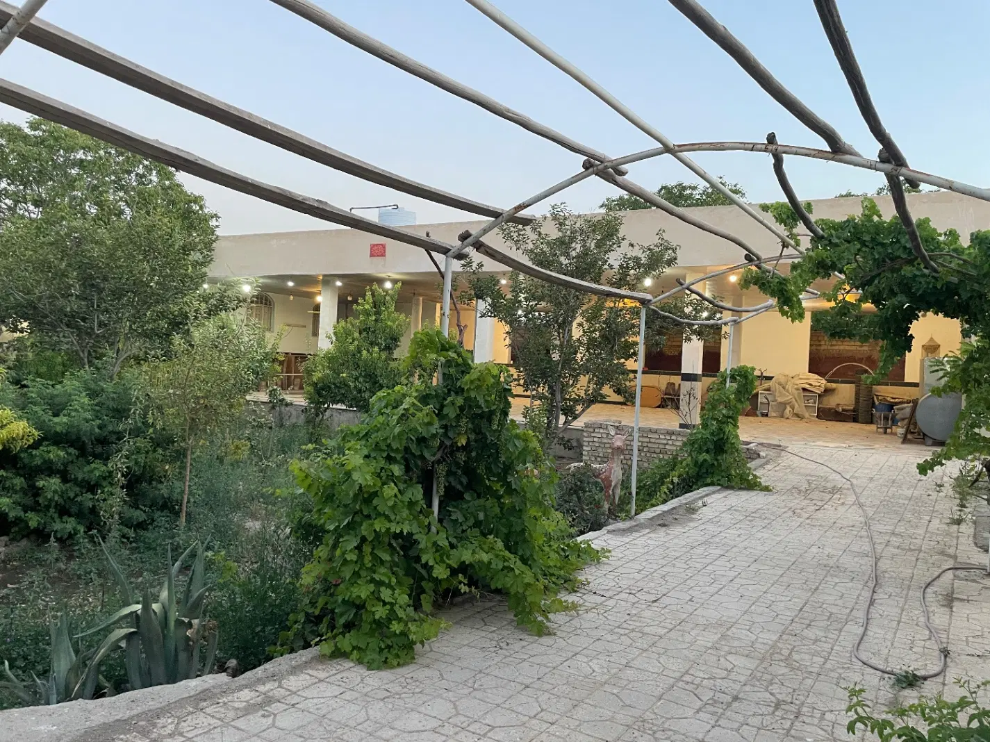 باغ ۱۶۰۰ متری سند شش دانگ