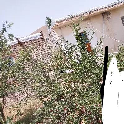 خانه