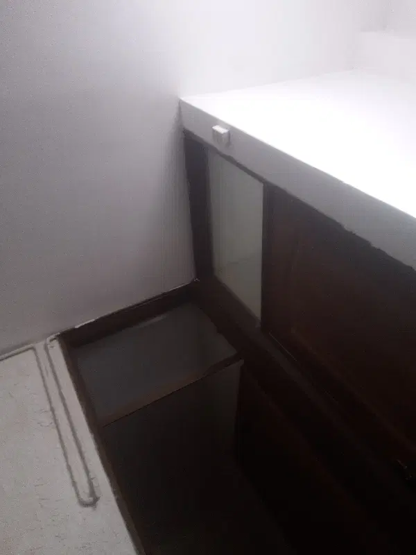 همخونه