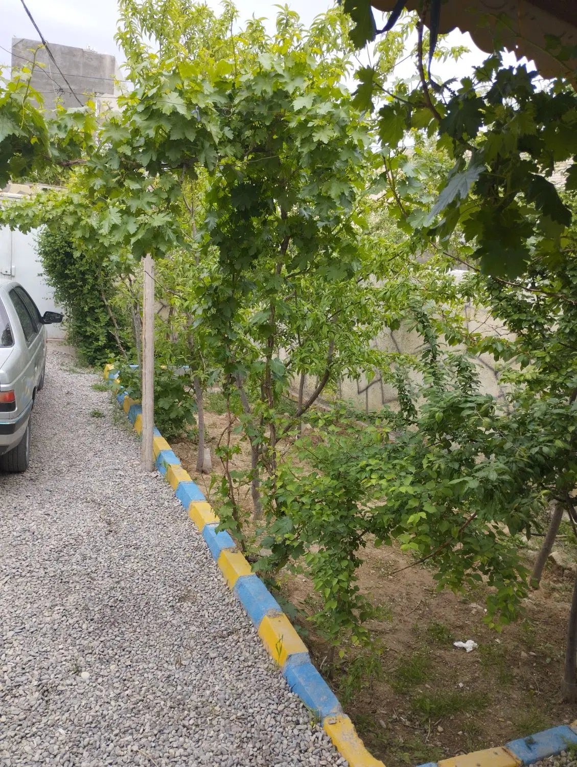 ویلایی فرخد محقق12