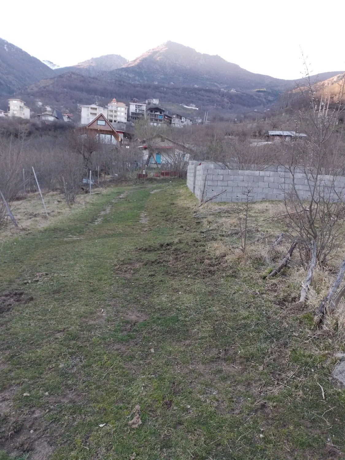 زمین باغات