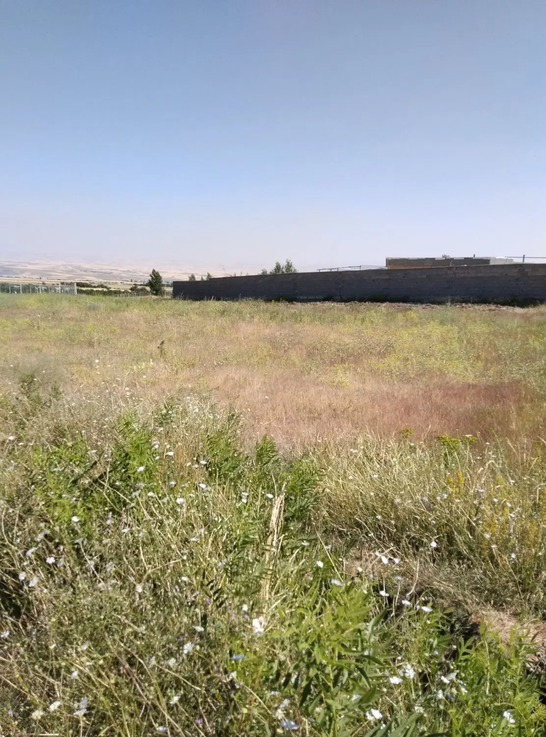 فروش زمین جهت باغ