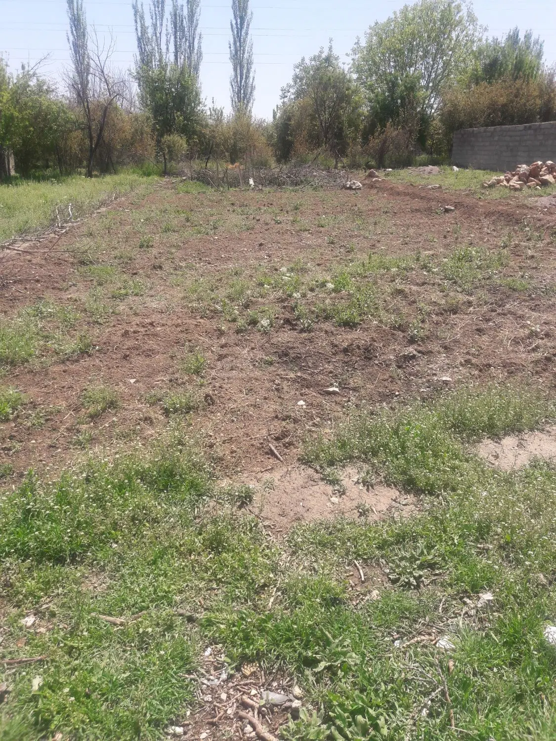 زمین مسکونی طرح هادی به متراژ ۲۷۰متر