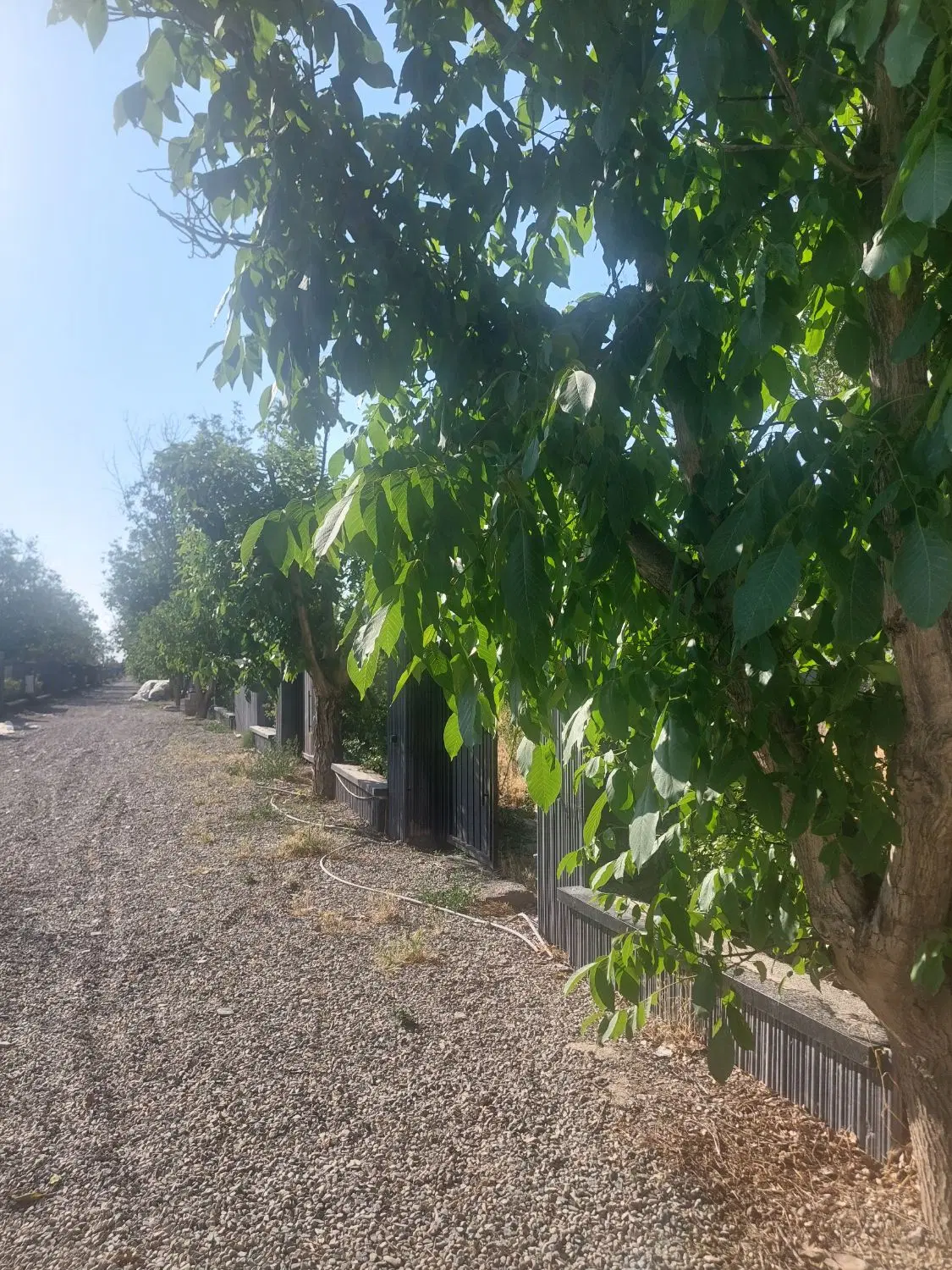 باغچه سندتکبرگ.کردان.تهراندشت زیبا
