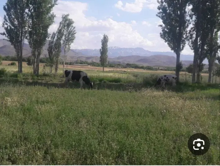 زمین مسکونی 300متری روستای خم پیچ