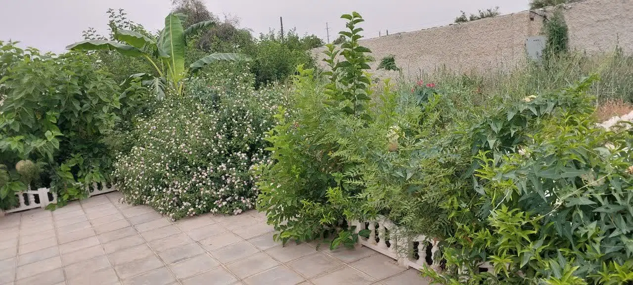 باغچه ۵۰۰ متر بن جعفر
