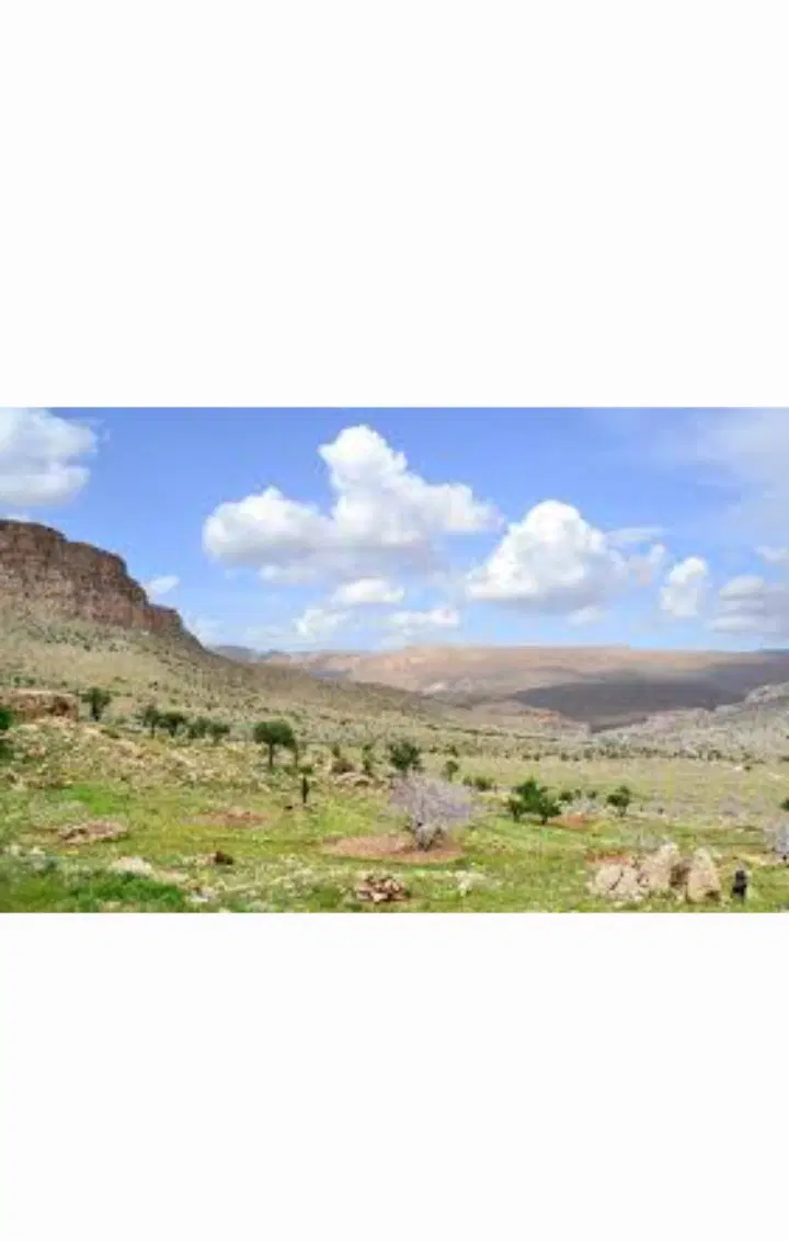 فروش ملک در انجیرستان ۷۵۰۰ متر