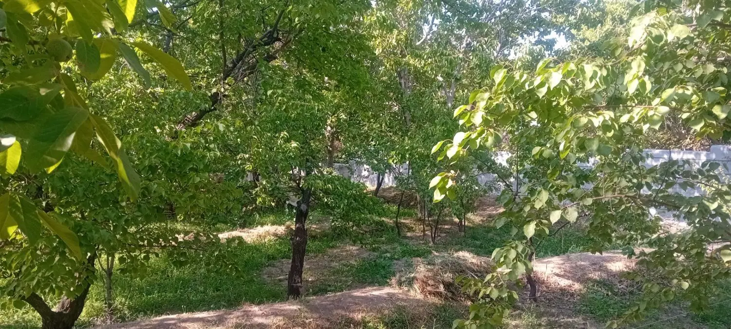 باغ انشعاب دار ۲۶۲متر در بهترین لوکیشن اسکو