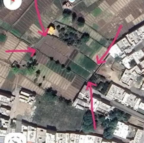 زمین زراعی باغی