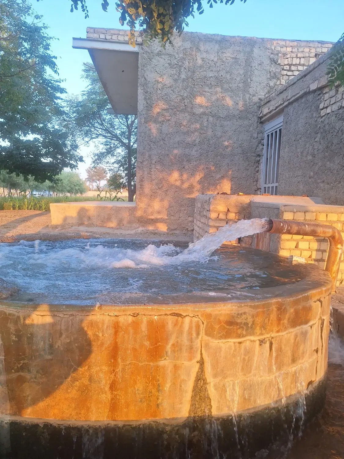 زمین ۹۰۰۰ متری با مجوز گلخانه