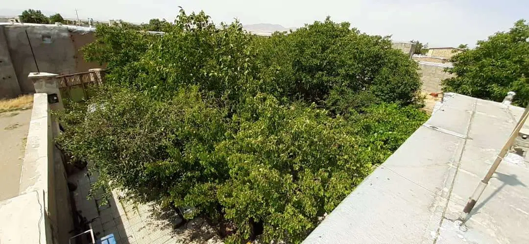 600 متر خانه ویلایی ضیاءآباد
