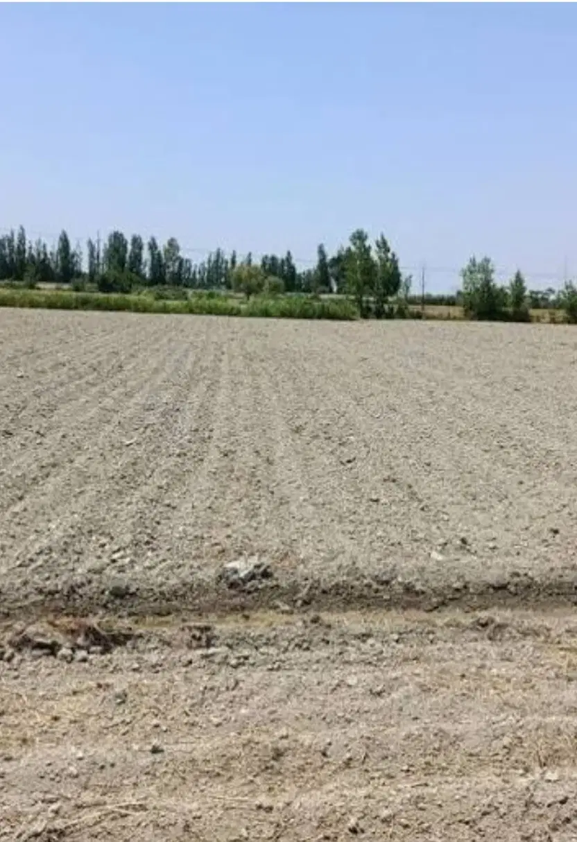 زمین زراعی حاصلخیز