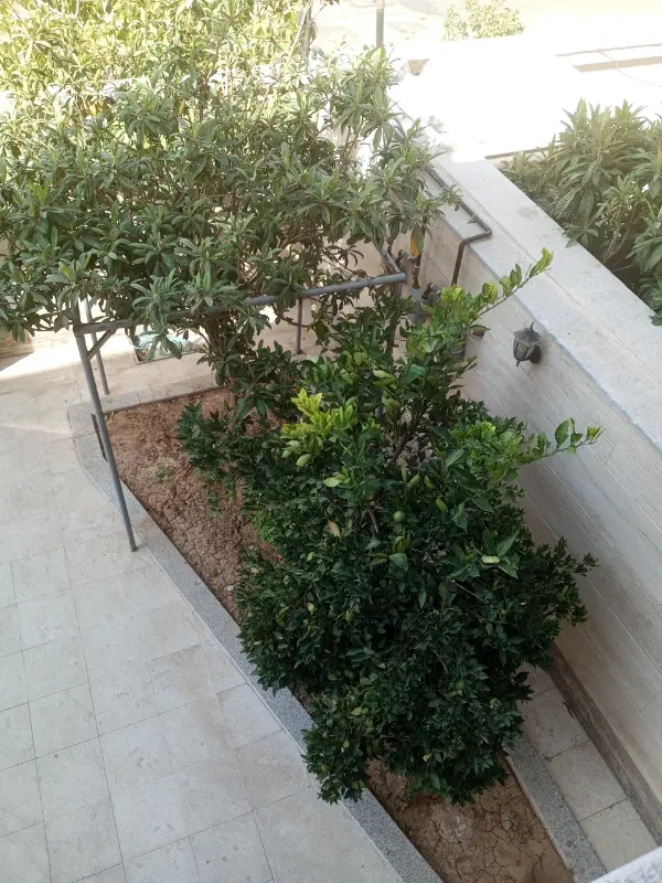 آپارتمان 3 خوابه نوساز تکمیل
