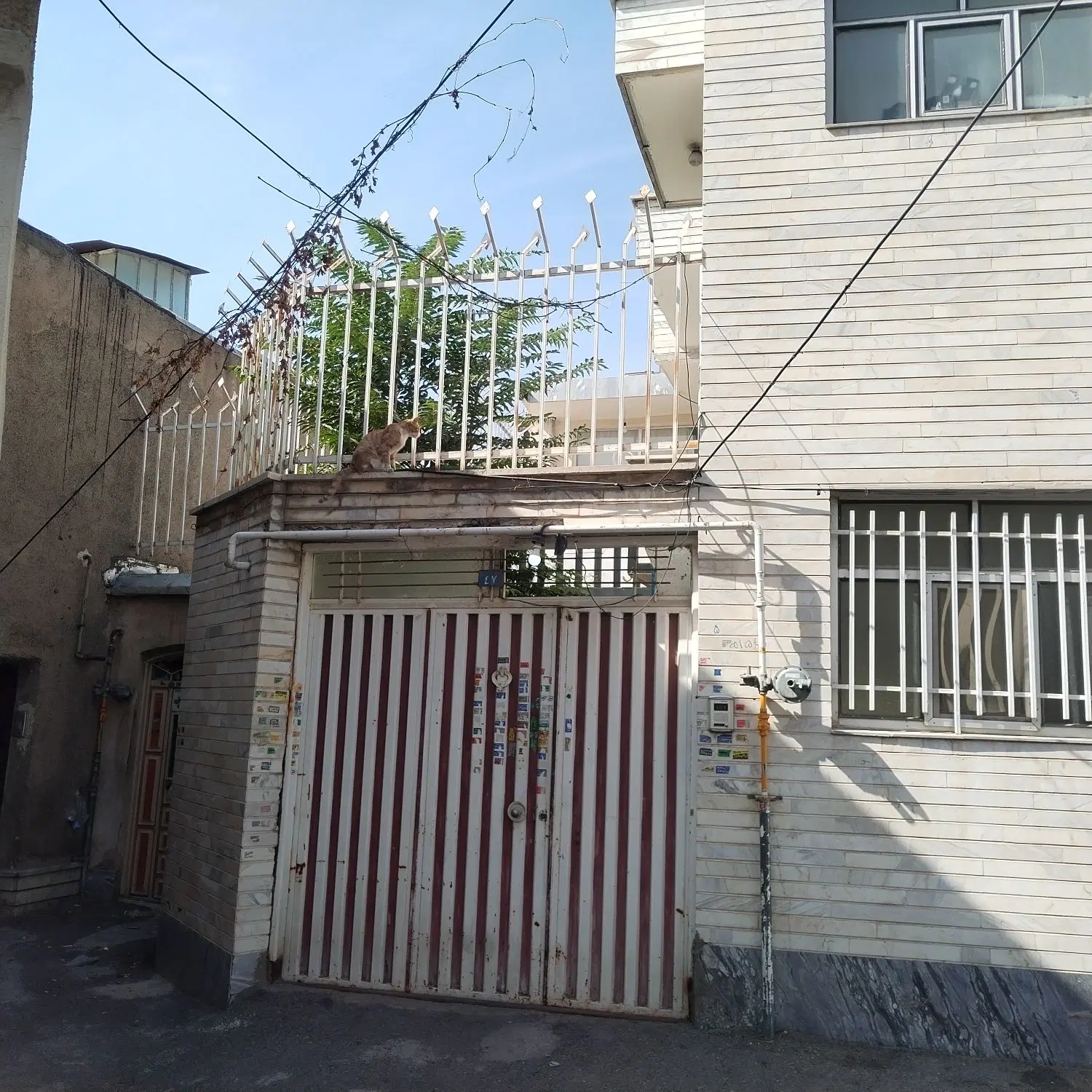 خانه همکف با حیاط