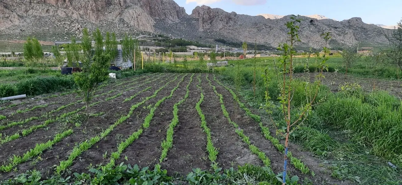 باغ ۵ ساله بر اتوبان سنندج