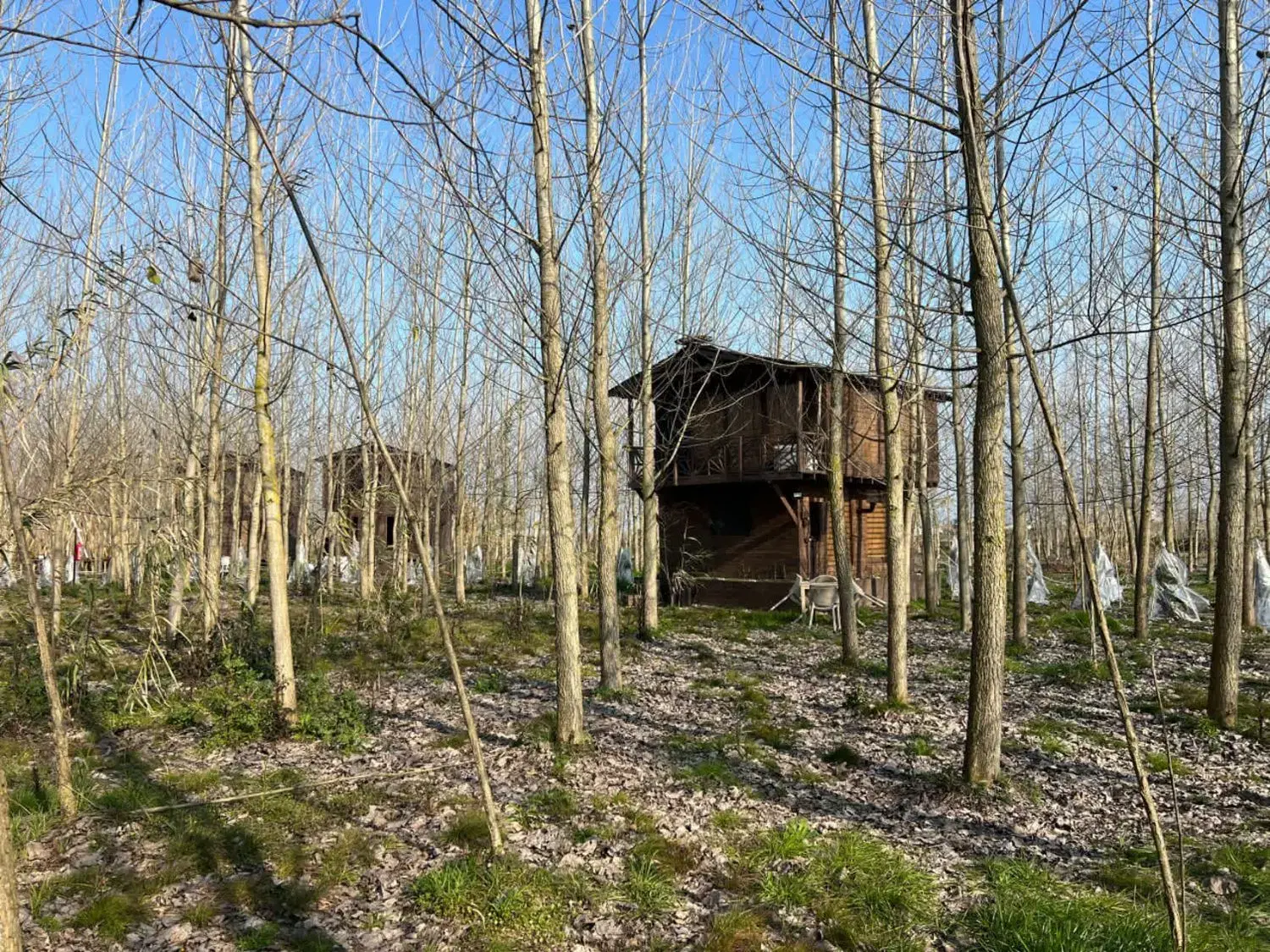 ویلای جنگلی، درمجموعه ای خاص
