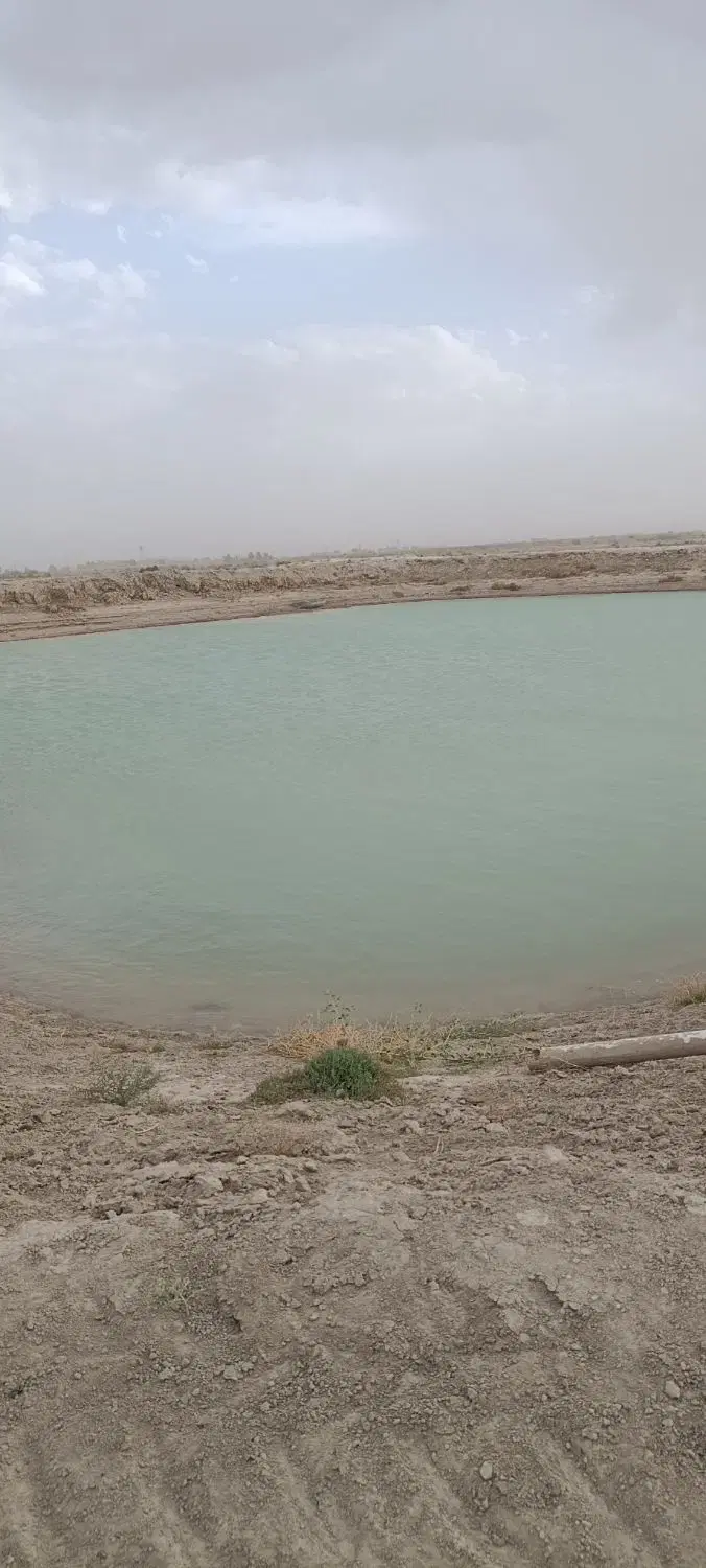 زمین خود ساز 205هکتاری