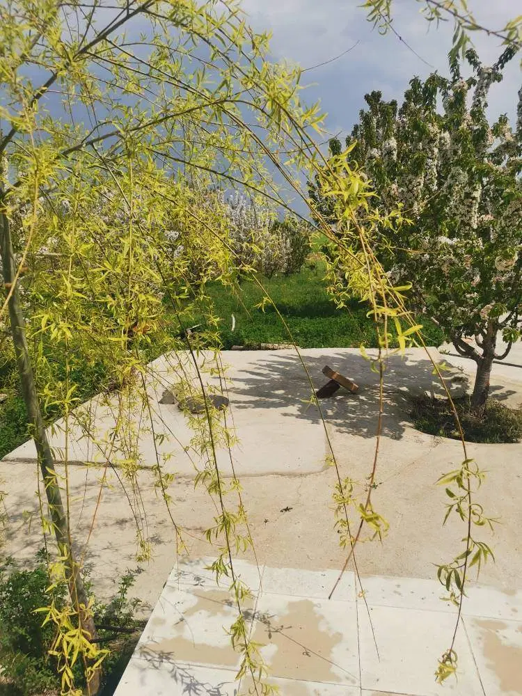 فروش خانه باغ
