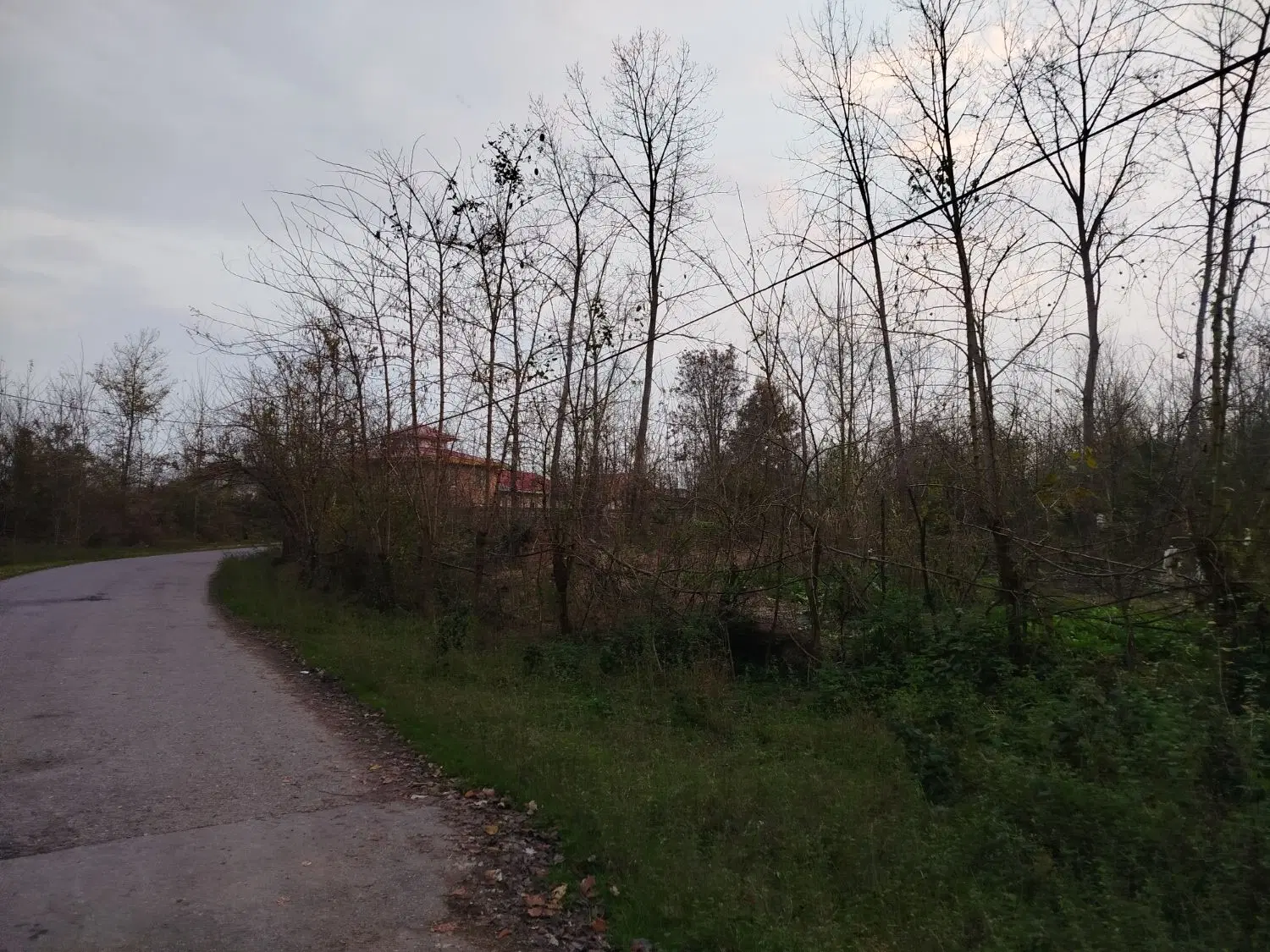 زمین مسکونی بر آسفالت اصلی