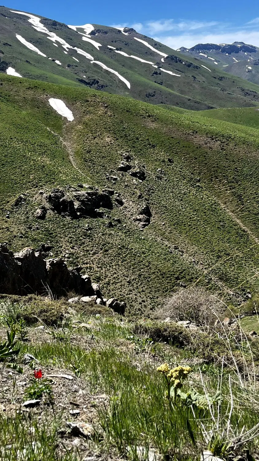 خانه باغ اسینم تا ۳میلیارد