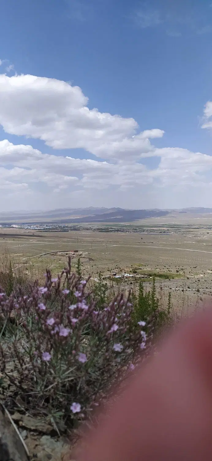 زمین شکراب