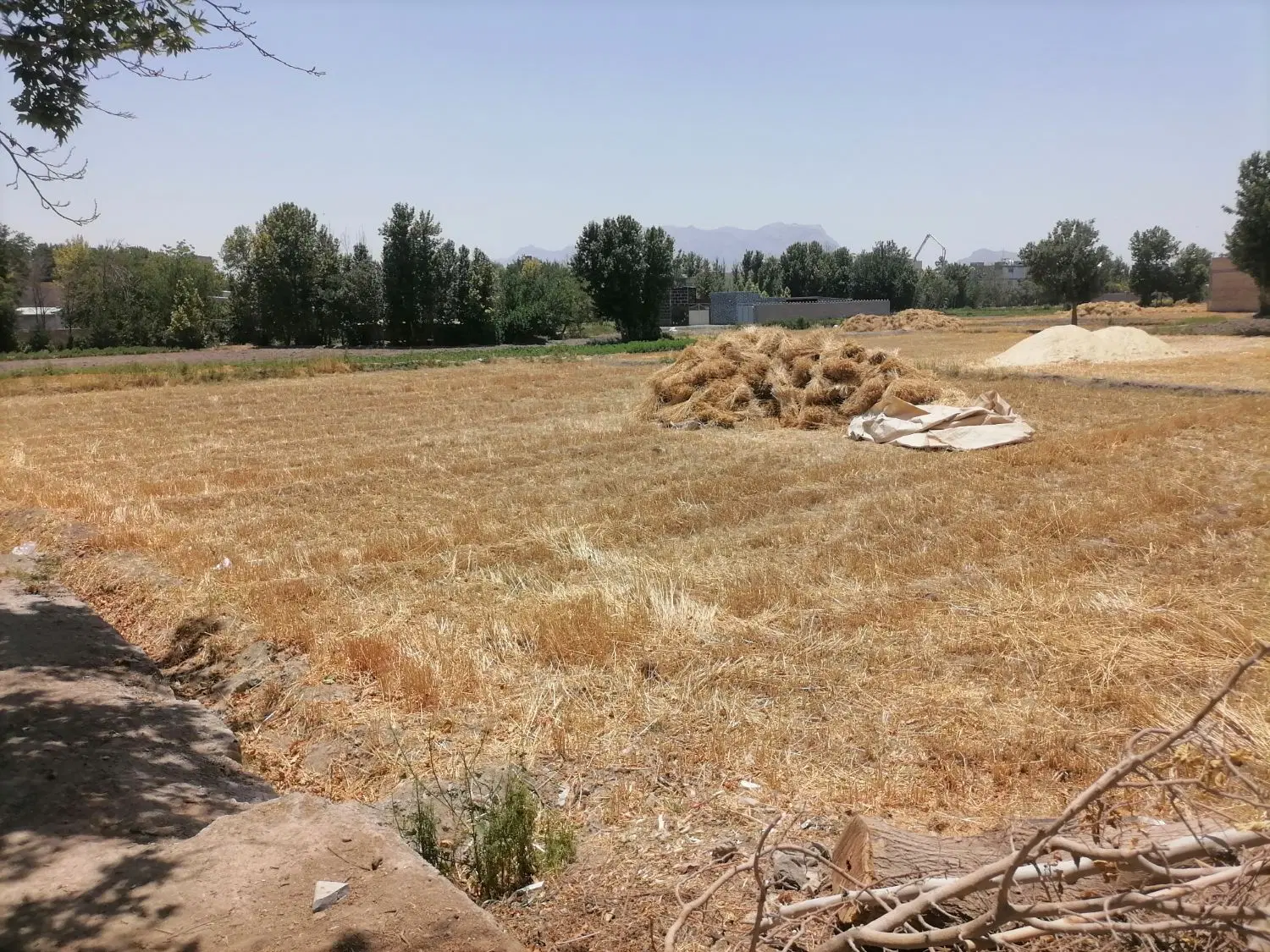 زمین کشاوزی مناسب سرمایه گذاری