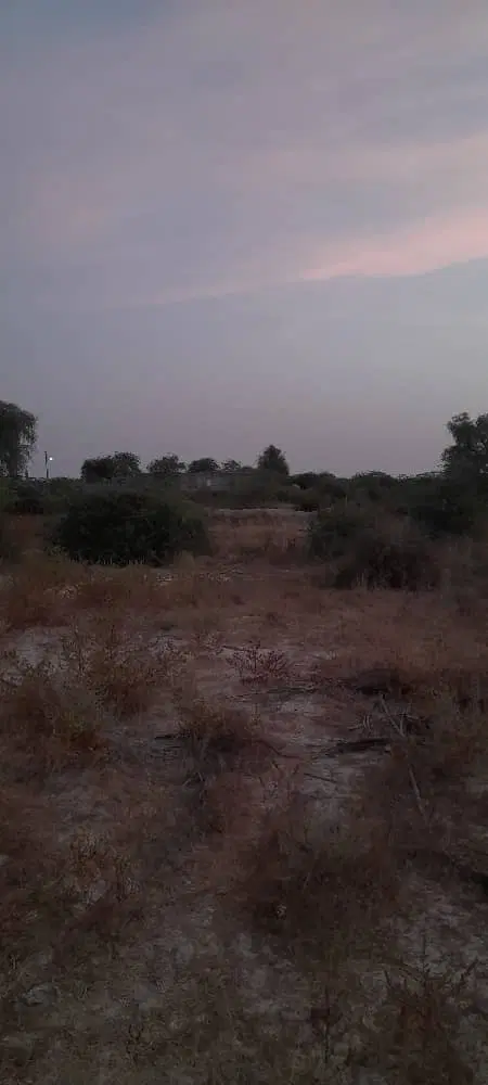 فروش زمین