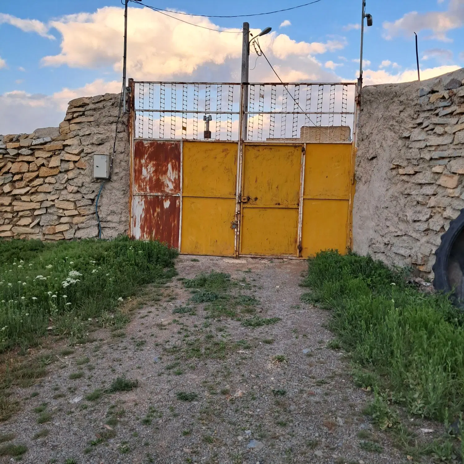 باغ میوه ۳۰۰۰ متری