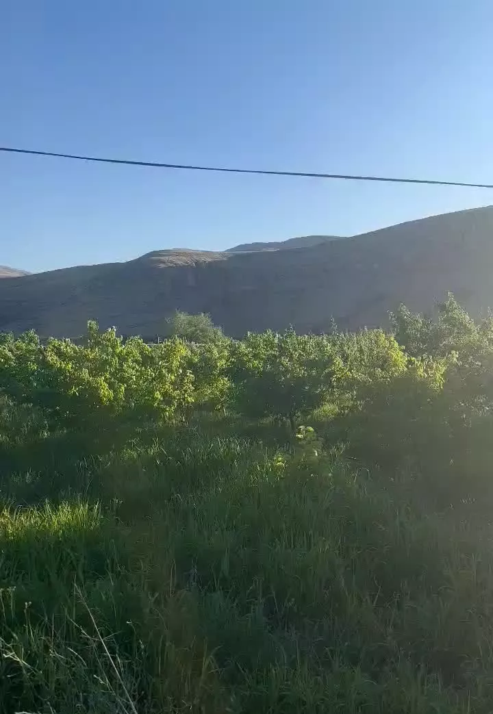 باغ تازه روستای رند