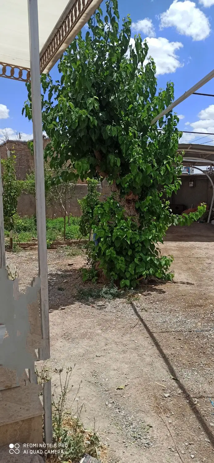 خانه ویلایی