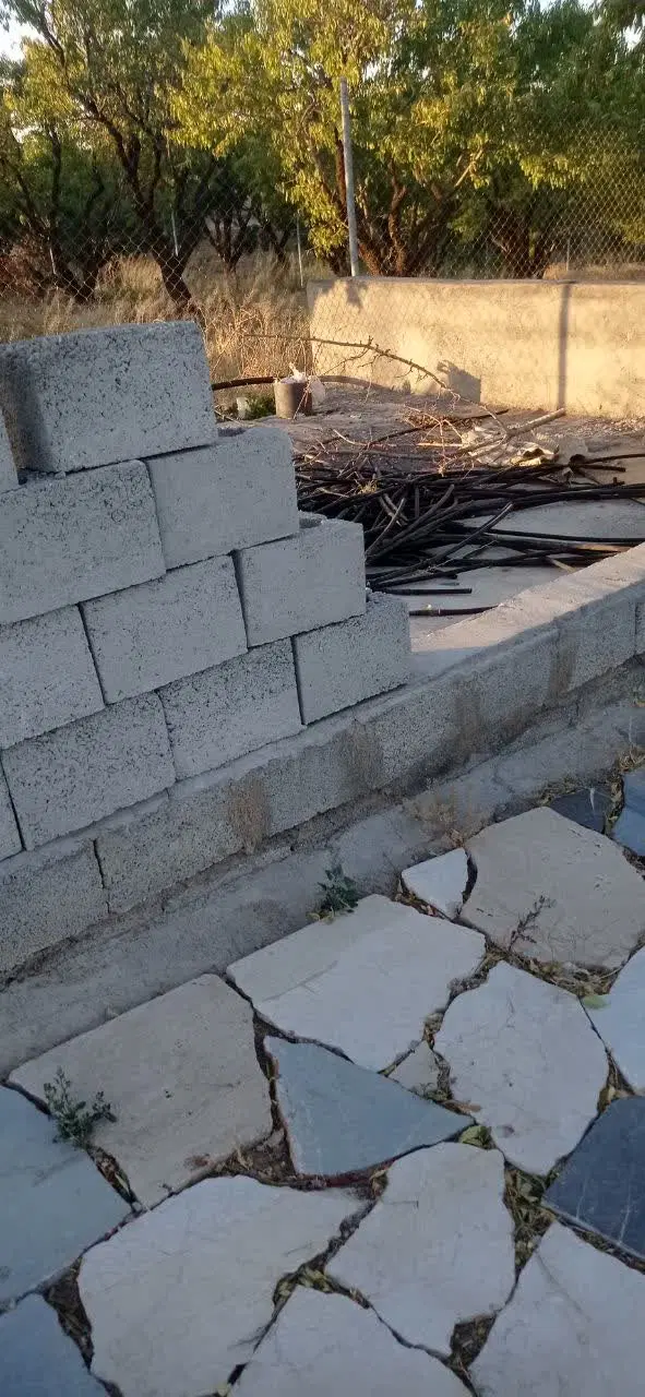 باغ بادام