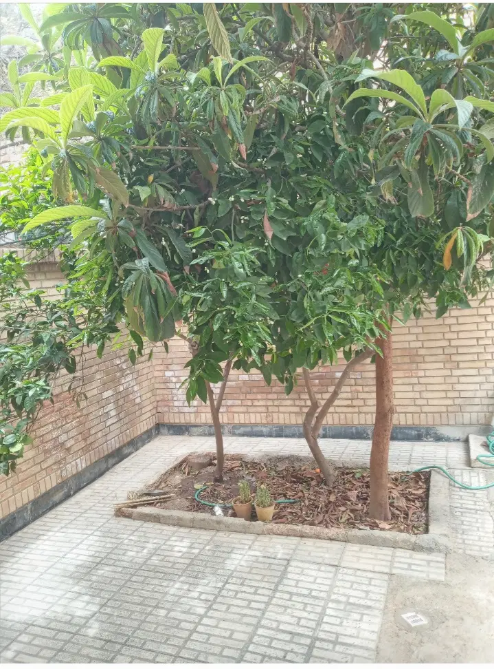 منزل ویلایی خیابان مسلم کوچه ۱۸