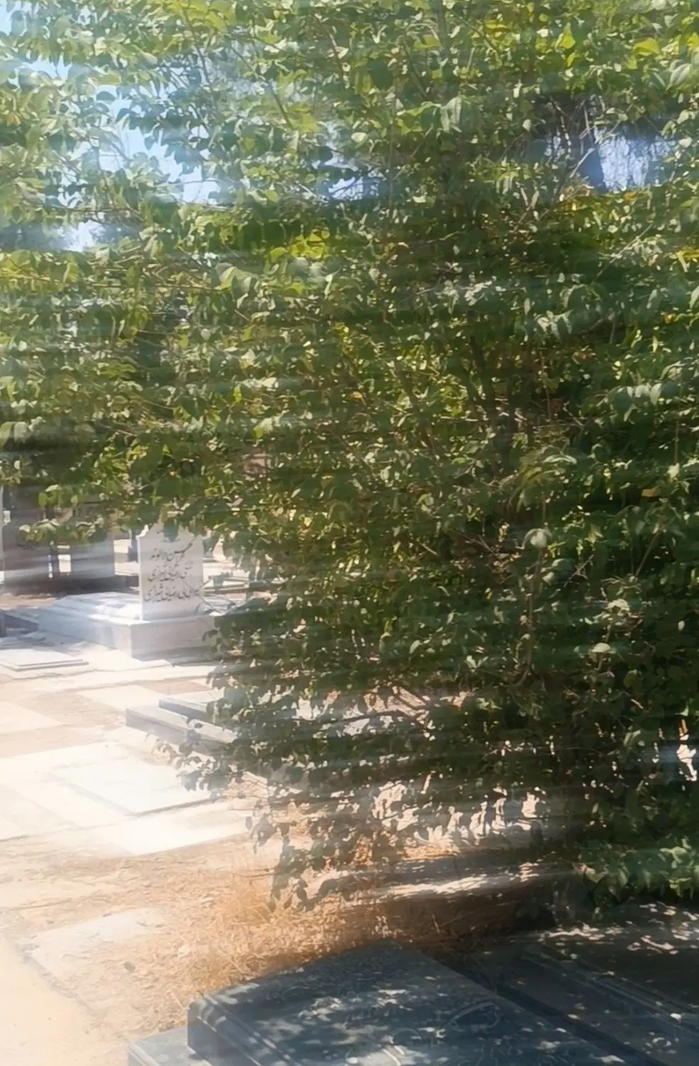 قبر در دارالرحمه شیراز