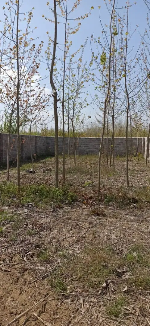 زمین چهار دیواری