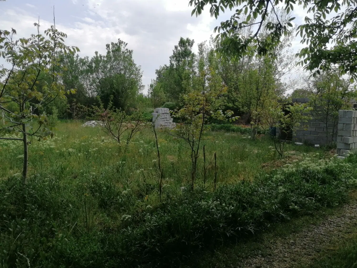 باغ و باغچه منطقه امامزاده