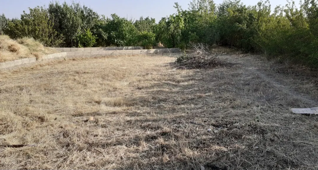 زمین