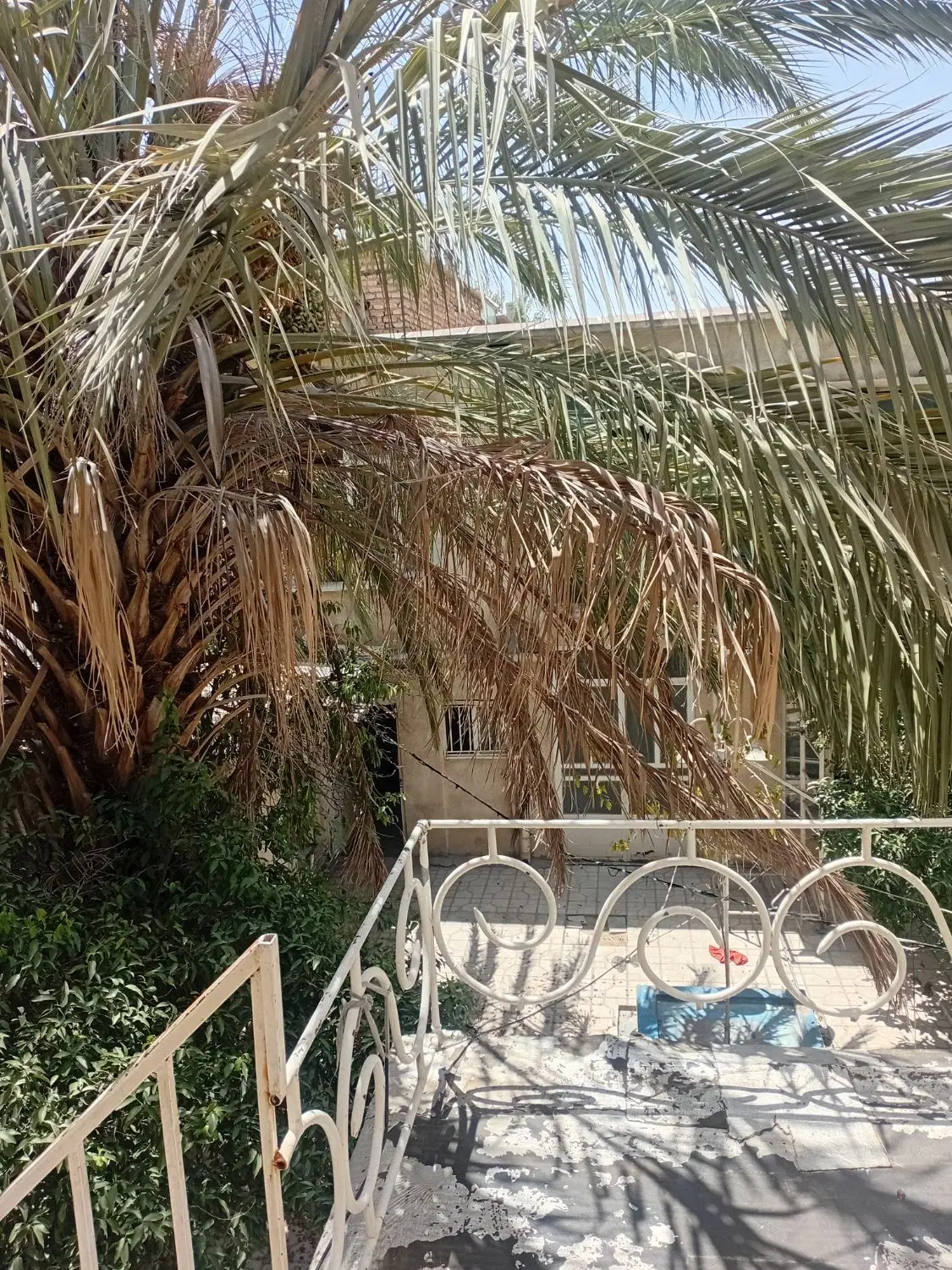 مشارکت در ساخت
