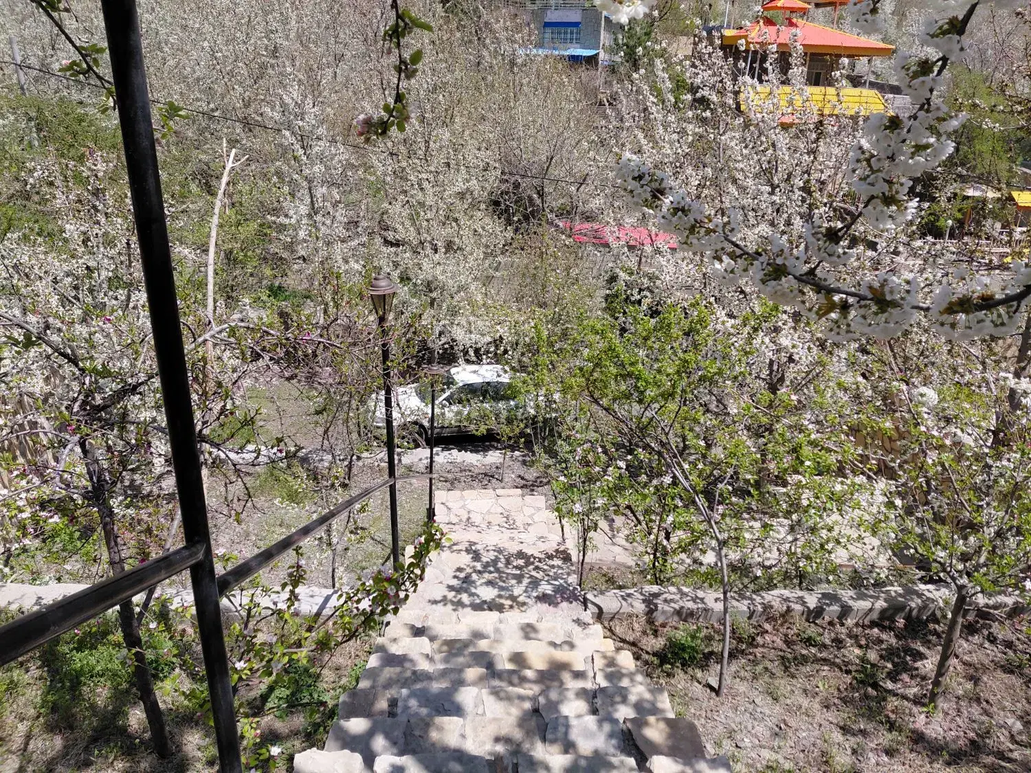 باغ ویلا زشک ۷