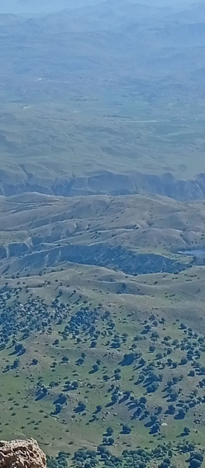 زمین . درپاونار