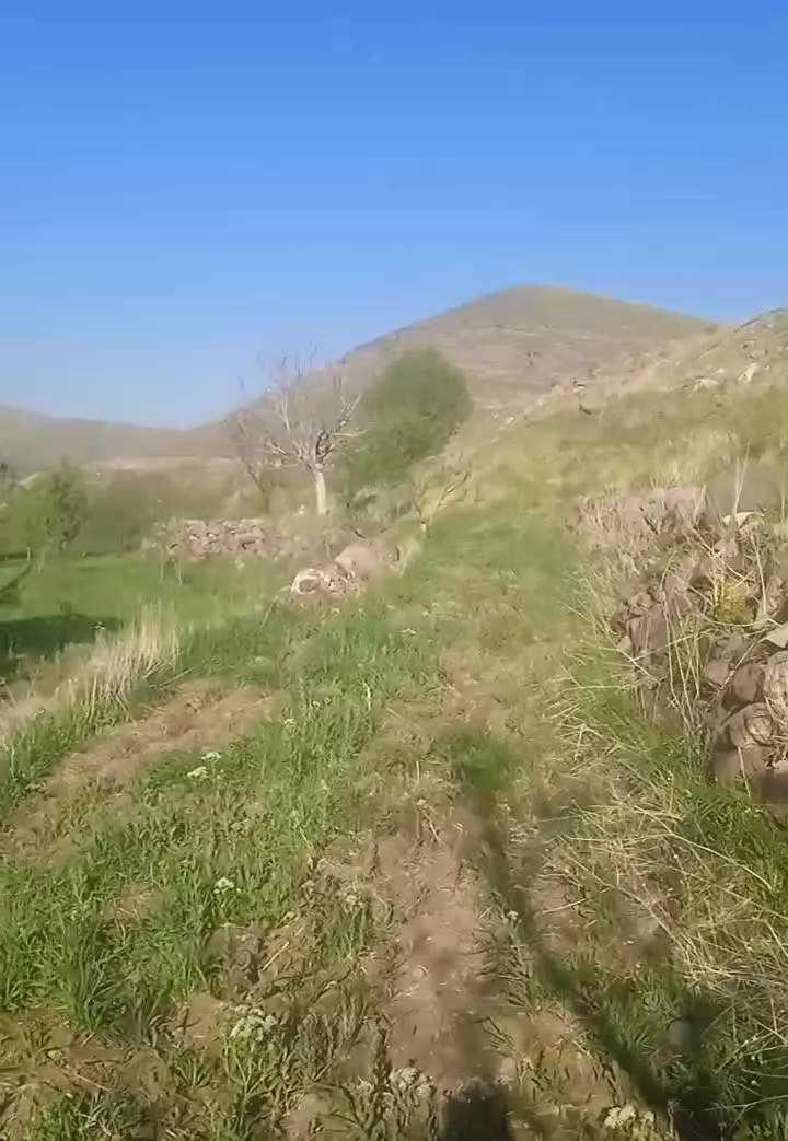 زمین ویلایی
