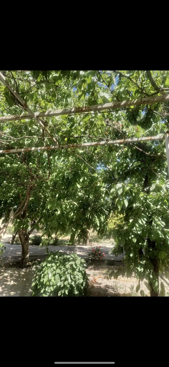 خونه باغ