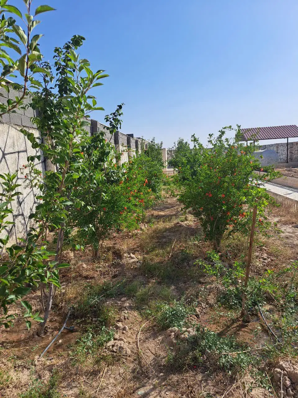 فروش چهار دیواری