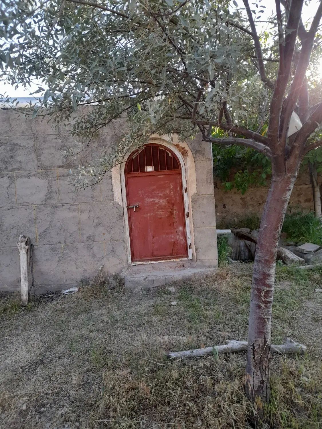 باغ فروشی در روستای زینجناب