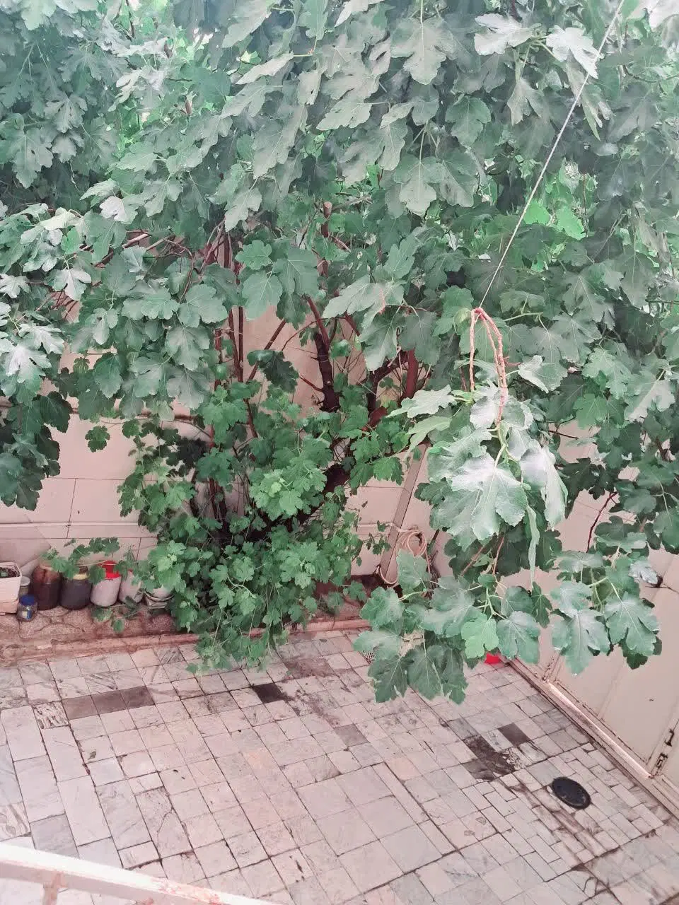 خانه ۱۲۰متری همکف راه جدا دارای پارکینگ در حیاط