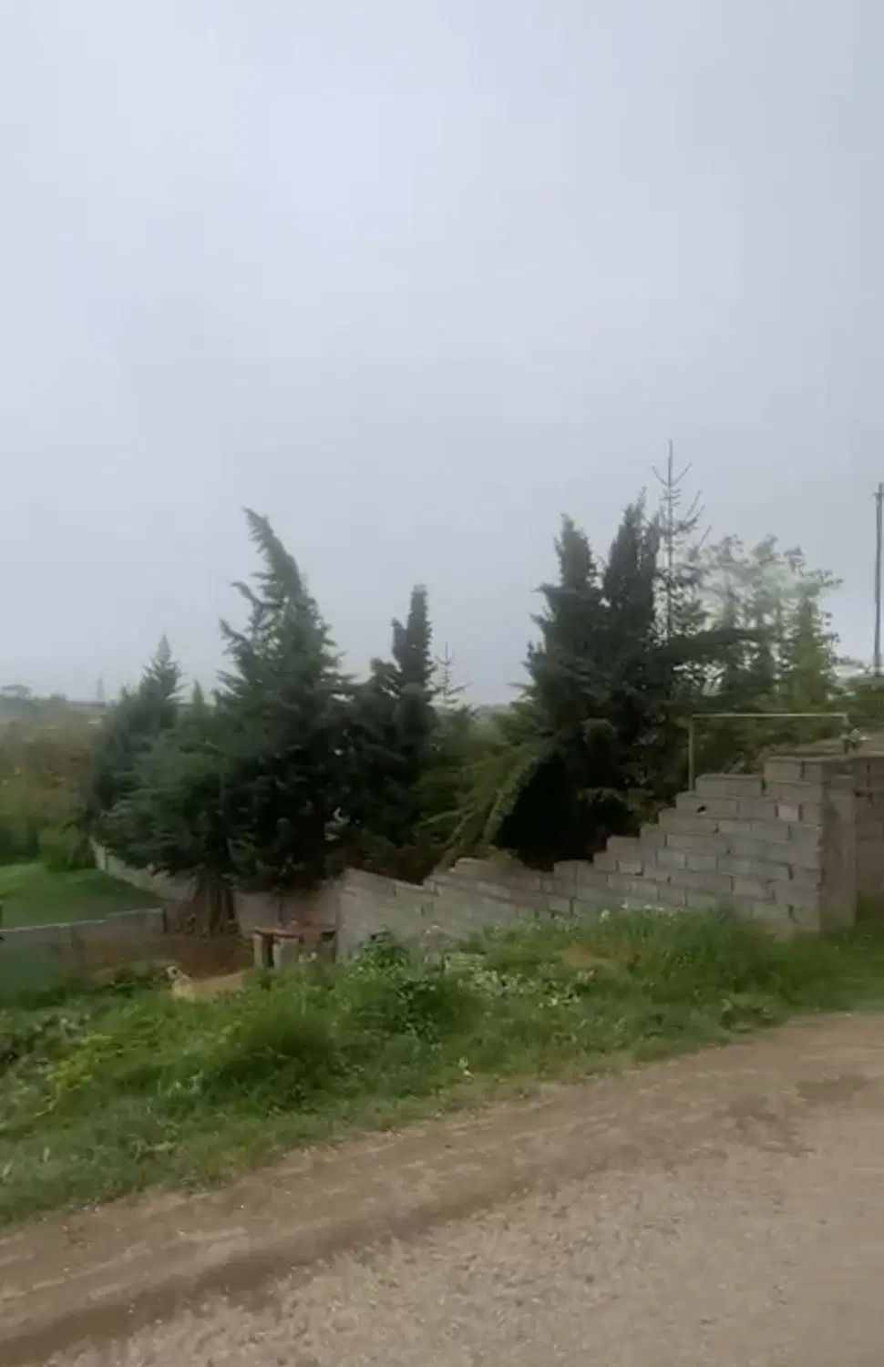 فروش زمین کلاردشت ( کلنو )