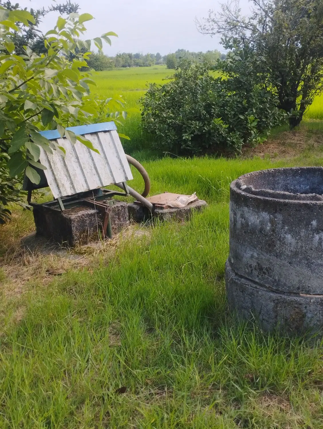 زمین کشاورزی