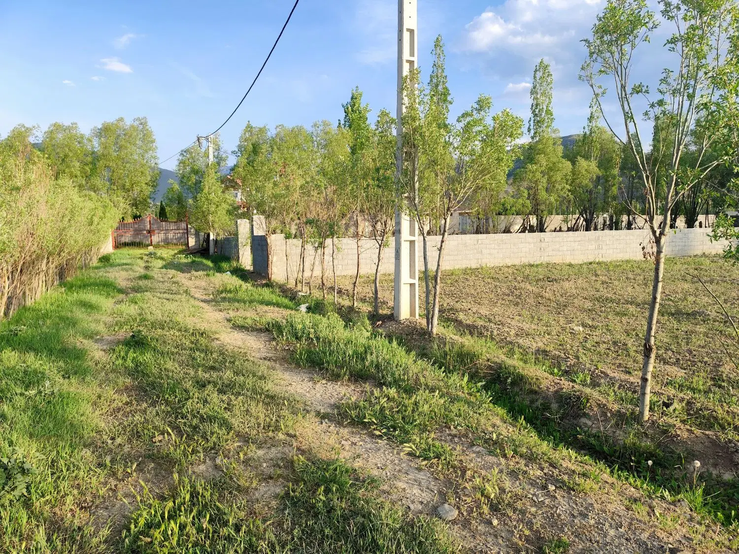 فروش زمین در منطقه زیبای چالوس ، کجور