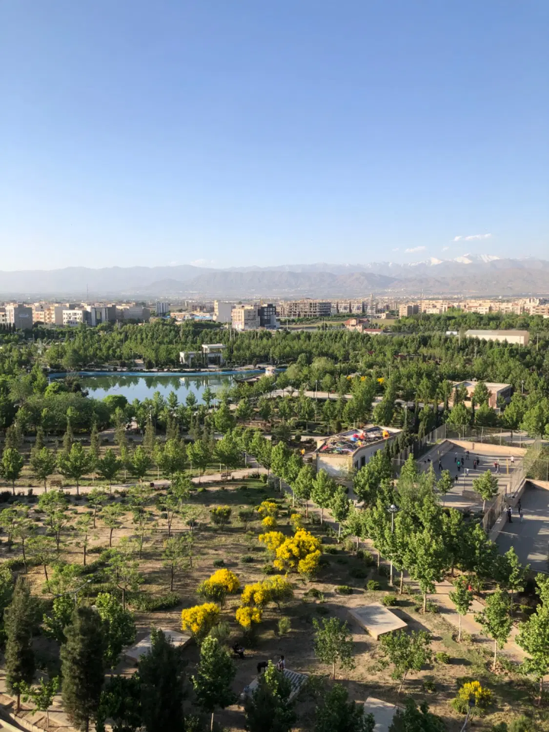 رهن یک خوابه ساماندهی